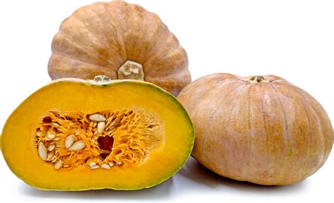 Calabaza PenalbaWeb.com