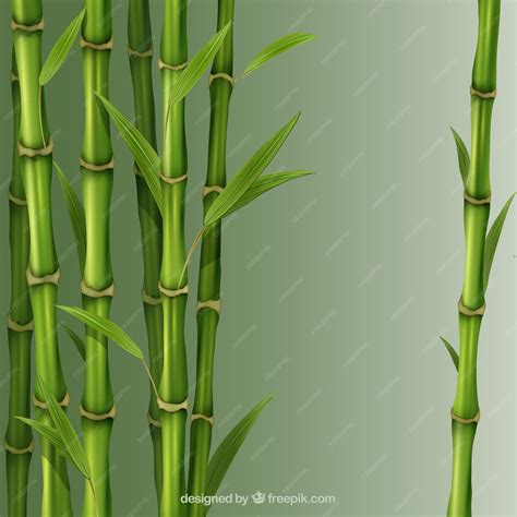 Cañas de bambu PenalbaWeb.com