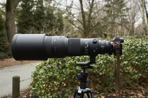 Canon 500 f4 PenalbaWeb.com