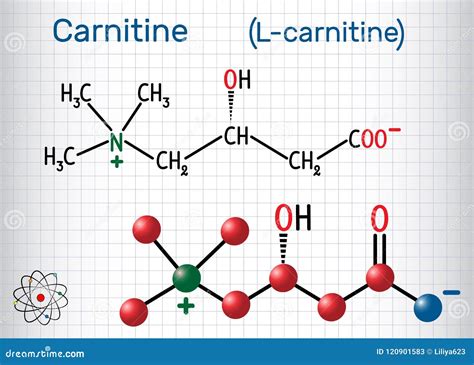 Carnitina PenalbaWeb.com
