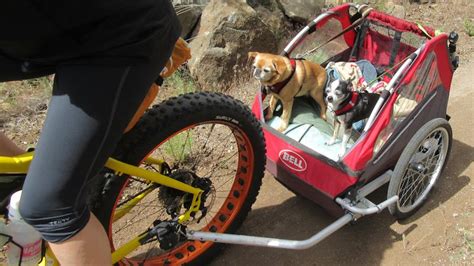 Carro bici PenalbaWeb.com