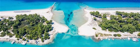 Casandra PenalbaWeb.com