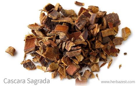 Cascara sagrada PenalbaWeb.com
