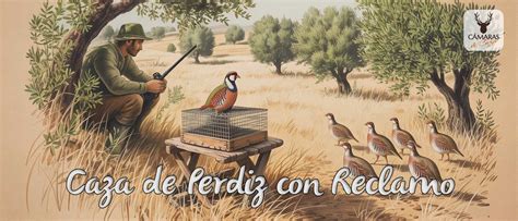 Caza reclamo PenalbaWeb.com