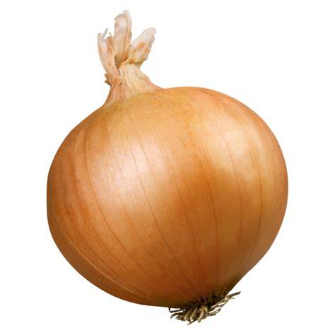 Cebolla PenalbaWeb.com