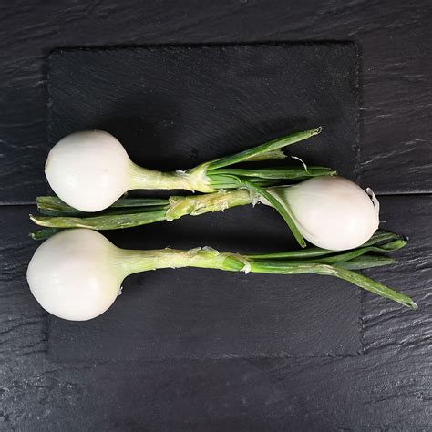 Cebolleta PenalbaWeb.com