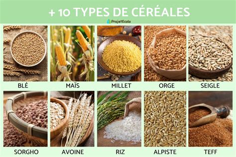 Cereales PenalbaWeb.com