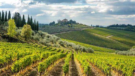 Chianti PenalbaWeb.com