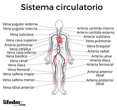 Circulatorio PenalbaWeb.com