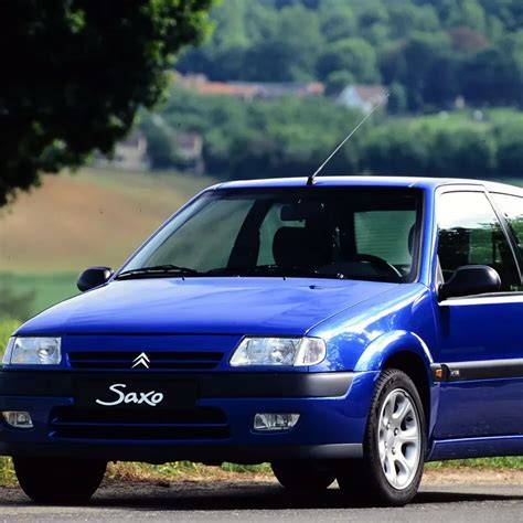 Citro n saxo PenalbaWeb.com