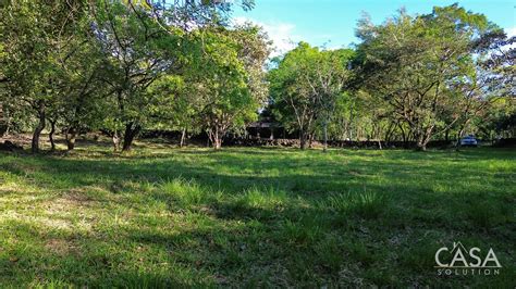 Cochea PenalbaWeb.com