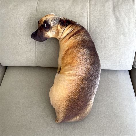 Cojin perro PenalbaWeb.com