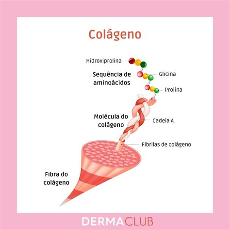 Colageno PenalbaWeb.com
