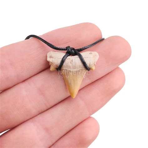 Colgante diente tiburon PenalbaWeb.com