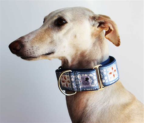 Collar galgo martingale PenalbaWeb.com