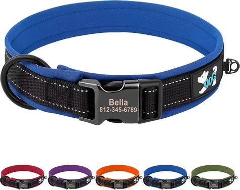 Collares perro PenalbaWeb.com