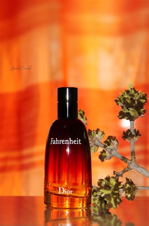 Colonia fahrenheit PenalbaWeb.com