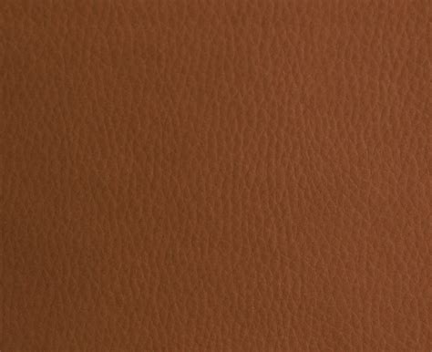 Color cuero PenalbaWeb.com