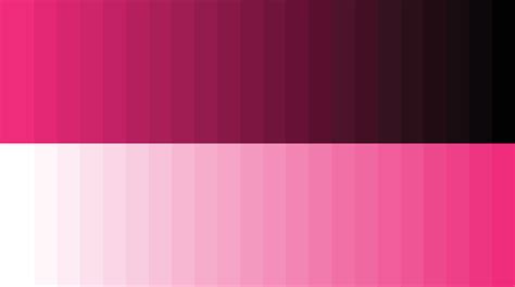 Color rosa PenalbaWeb.com