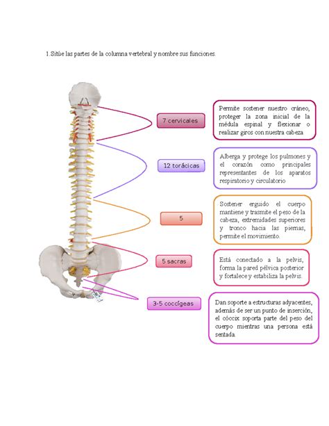 Columna soporte PenalbaWeb.com