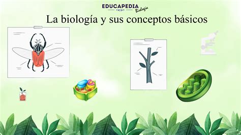 Conceptos biologia PenalbaWeb.com
