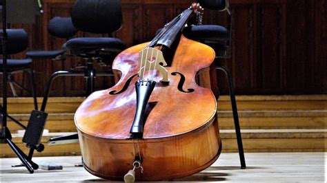 Contrabajo ebano PenalbaWeb.com