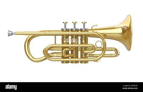 Cornet PenalbaWeb.com