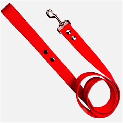 Correa perro nylon PenalbaWeb.com