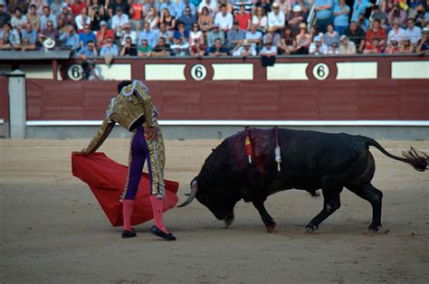 Corrida toros PenalbaWeb.com
