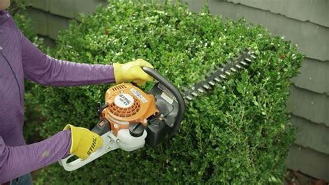 Cortasetos stihl PenalbaWeb.com