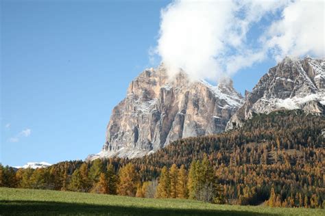 Cortina PenalbaWeb.com