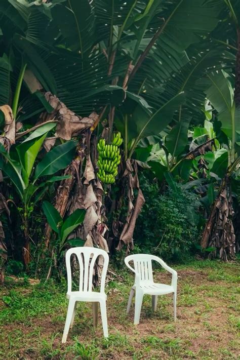 Cover pantalla PenalbaWeb.com