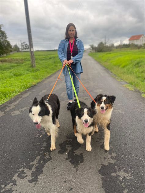 Criadero PenalbaWeb.com