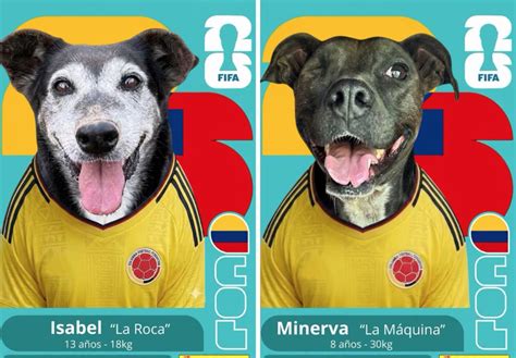 Cromos panini PenalbaWeb.com