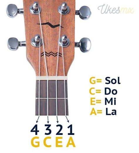 Cuerdas ukelele PenalbaWeb.com
