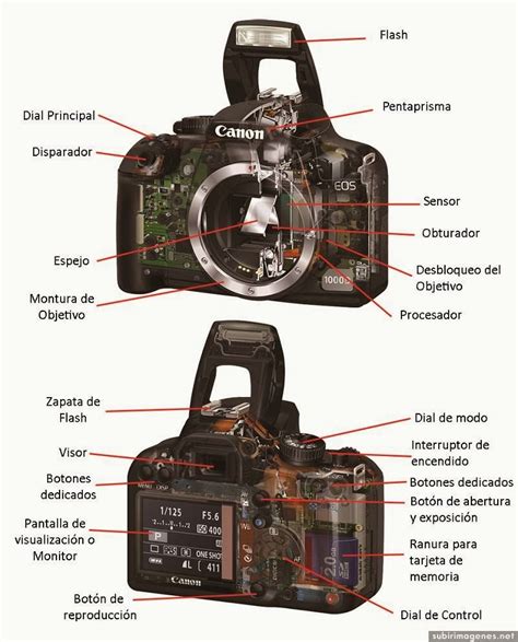 Cuerpo camara reflex PenalbaWeb.com
