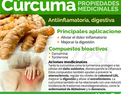 Curcuma natural PenalbaWeb.com