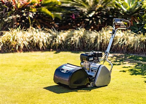 Cylinder mower PenalbaWeb.com