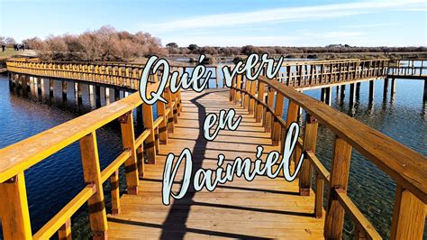 Daimiel PenalbaWeb.com