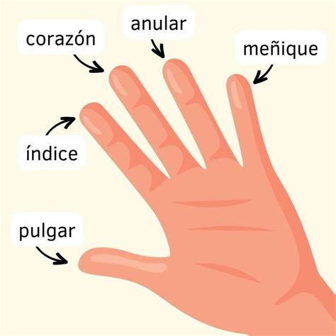 Dedos PenalbaWeb.com