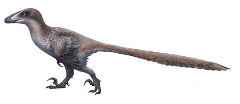Deinonychus PenalbaWeb.com