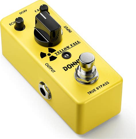 Delay pedal PenalbaWeb.com