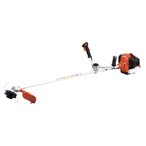 Desbrozadora echo PenalbaWeb.com