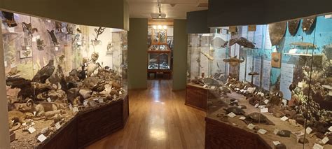 Disecados PenalbaWeb.com