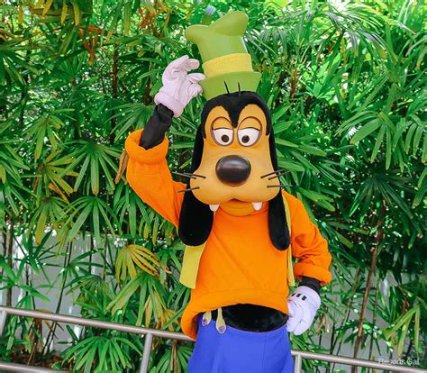 Disney goofy PenalbaWeb.com