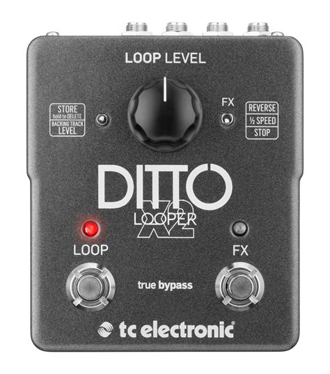 Ditto looper PenalbaWeb.com