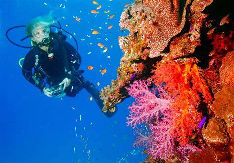 Diving scuba PenalbaWeb.com