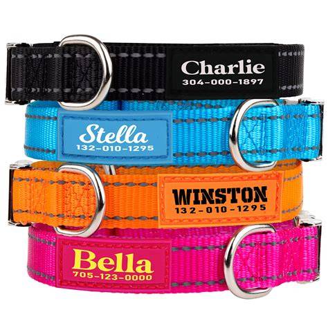 Dog collar PenalbaWeb.com