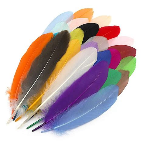 Donde puedo  plumas PenalbaWeb.com