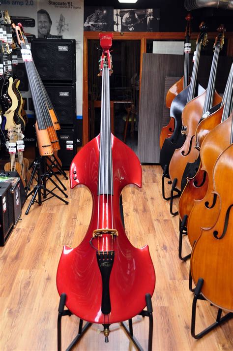 Double bass electric PenalbaWeb.com